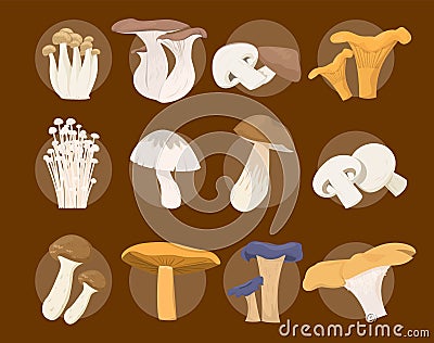 Mushroom collection vector isolated. Organic food set Vector Illustration