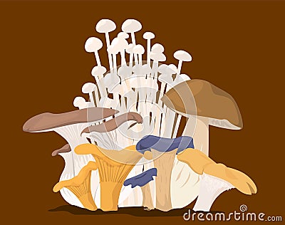 Mushroom collection vector isolated. Organic food set Stock Photo