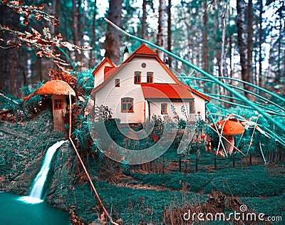 Mushroom cottage in forest. collage, fantasy background Stock Photo