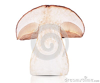 Mushroom cut in half. Stock Photo