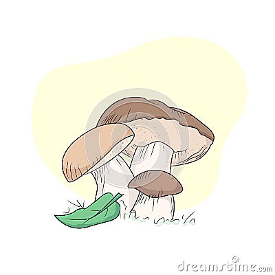 Mushroom drawing champignon, porcini, greasers, suillellus, boletus, russule, russulacea, amanita, death cap. Vector graphic stock Vector Illustration