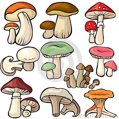 Mushroom forest set on a white background Vector Illustration