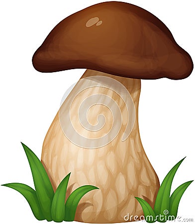 Mushroom in the grass Vector Illustration