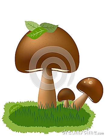 Mushroom illustration Stock Photo