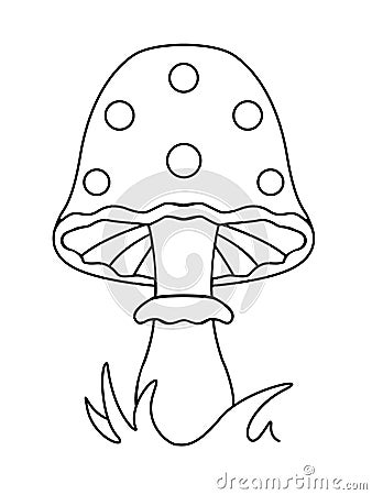 Mushroom. Mushroom fly agaric, in the grass. Linear pattern for coloring. Autumn fungi. Vector Illustration