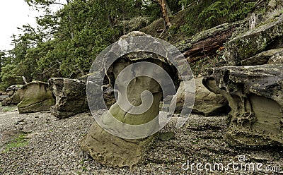 Mushroom Rock in Montague harbour, Galiano Island.Canada Stock Photo