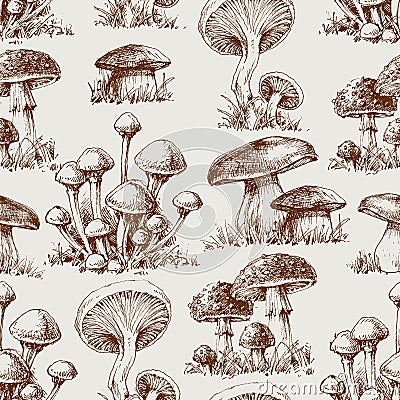 Mushroom seamless pattern Vector Illustration