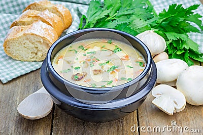 Mushroom soup with chicken Stock Photo