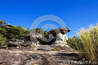 Mushroom stone beauty blue sky Stock Photo