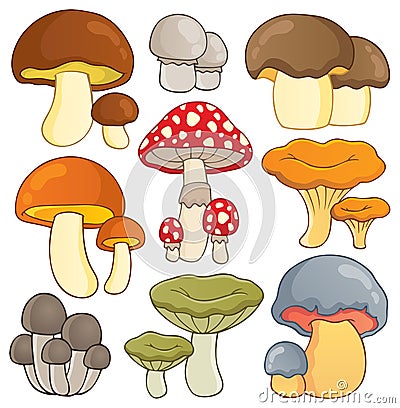 Mushroom theme collection Vector Illustration