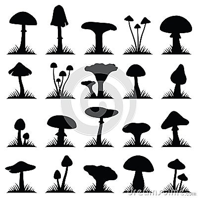 Mushroom and toadstool vector illustration Vector Illustration