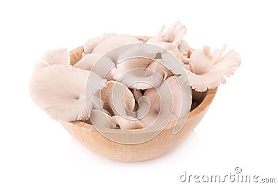 Mushroom on white background. Stock Photo