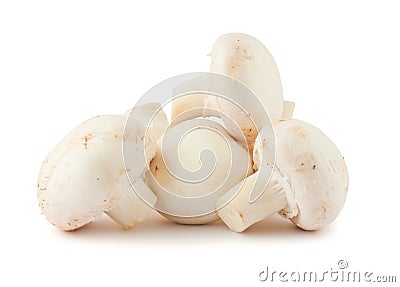 Mushrooms Stock Photo