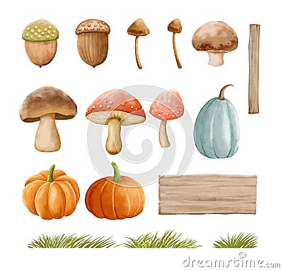 Mushrooms autumn set with grass in watercolor painting style. Mushrooms isolated on a white background Vector Illustration