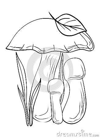 Mushrooms. Coloring, clip art, line art. Vector illustration Vector Illustration