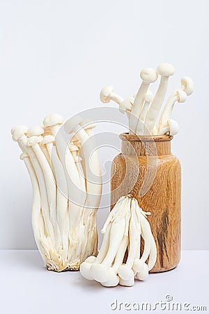 Mushrooms conceptual still life. White beech or shimeji mushrooms in wooden vase Stock Photo