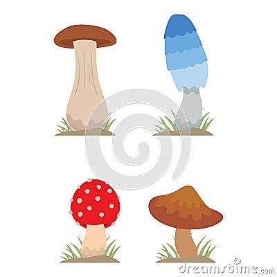 Mushrooms for cook food and poisonous nature meal vegetarian healthy autumn edible and fungus organic vegetable raw Vector Illustration