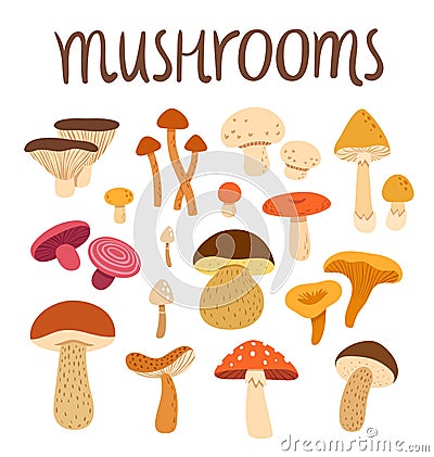 Mushrooms Vector Illustration