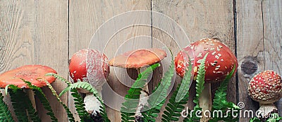 Mushrooms fly agaric Stock Photo