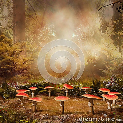 Mushrooms in the forest Stock Photo