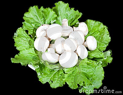 Mushrooms on green lettuce leaves Stock Photo