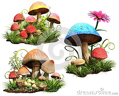 Mushrooms Stock Photo