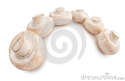 Mushrooms path isolated Stock Photo