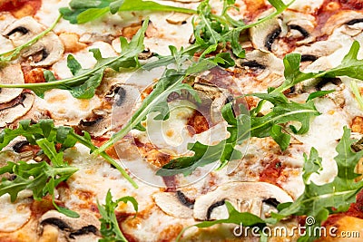 Mushrooms pizza. top view. Stock Photo