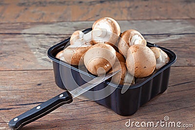 Mushrooms in plastic bowl, knive Stock Photo