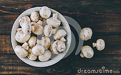Mushrooms In Plate Stock Photo