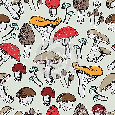 Mushrooms Seamless pattern Vector Illustration