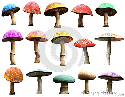 Mushrooms Cartoon Illustration