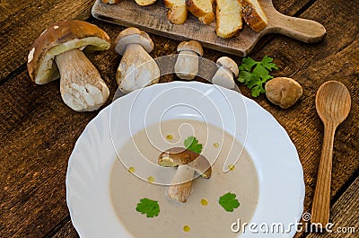 Mushrooms soup creame Stock Photo