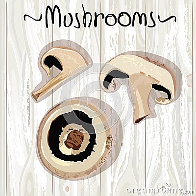 Mushrooms Vector Illustration