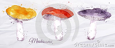 Mushrooms watercolor Vector Illustration