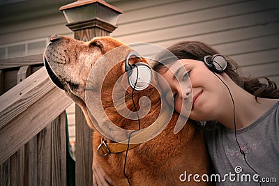 music dog Stock Photo