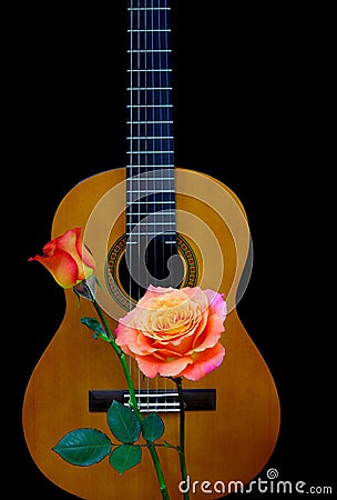 Music and flowers concept with a spanish acoustic guitar and caribbean roses Stock Photo