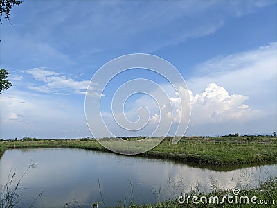 Music of nature is never over Stock Photo