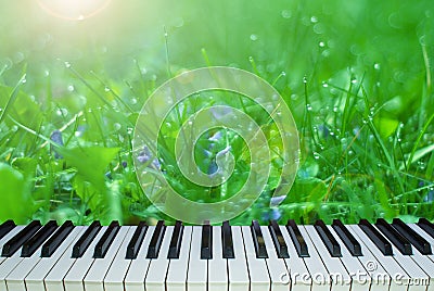 The music of nature. piano keys on a background of nature Stock Photo