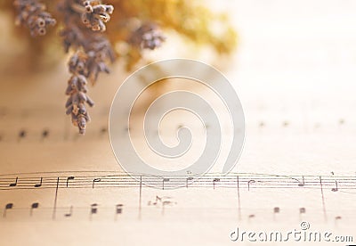 Music notes with flowers Stock Photo