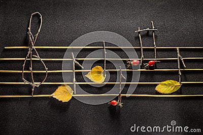 Musical notes conception. Wooden musical notes and leaves. Stock Photo