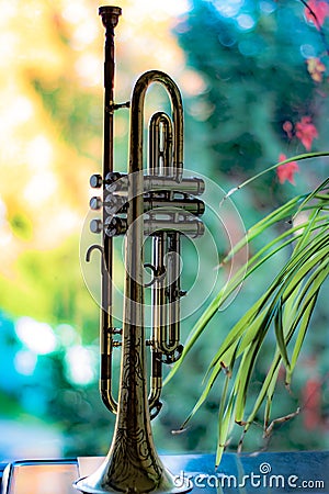 Closeup view on a trumpet detail Stock Photo