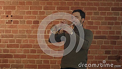 Musician playing the trumpet Stock Photo