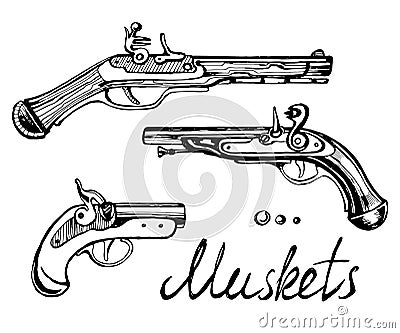 Muskets set different guns Vector Illustration