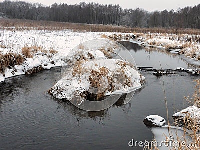 Muskrat Family Lodge in a Creek: Snow covered muskrat lodge in the midst of a creek on a cold winter day Stock Photo