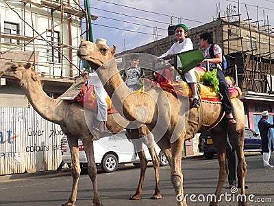 Muslim boys on camel riding in Nairobi Editorial Stock Photo