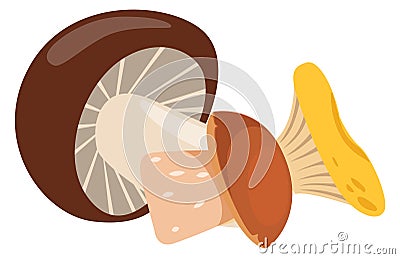 Musrooms icon. Autumn forest harvest. Cooking ingredient Stock Photo