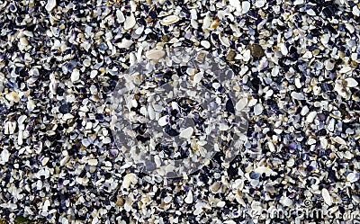 Mussel Beach, many crushed seashells Stock Photo