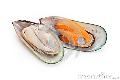 Mussel Stock Photo