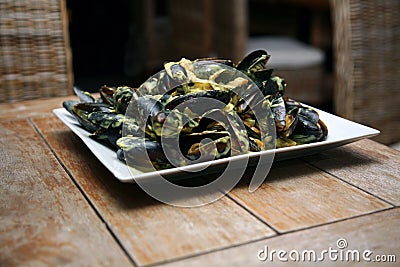 Mussels Stock Photo